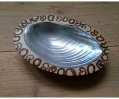 Zeepschaaltje van abalone schelp