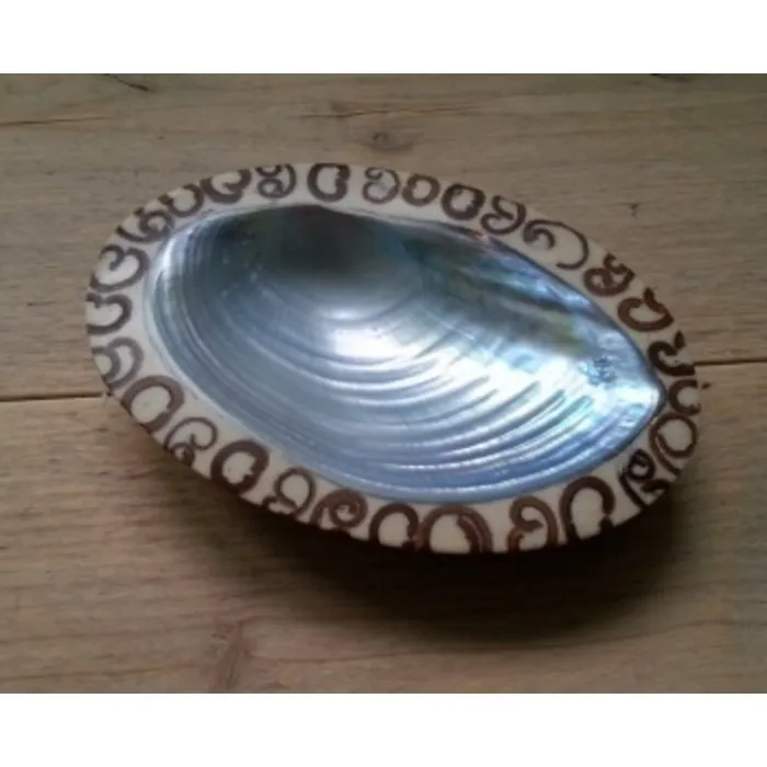 Zeepschaaltje van abalone schelp