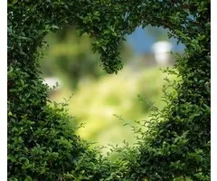 Eigenliefde etherische olie