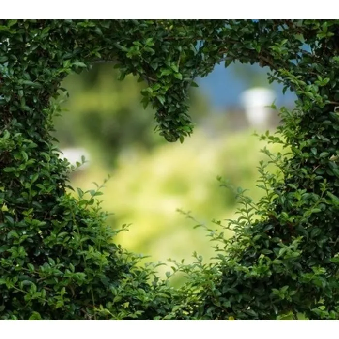 Eigenliefde etherische olie