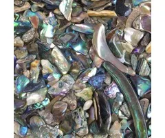 Abalone stukjes 50 gram