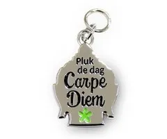 Bedeltje carpe diem pluk de dag