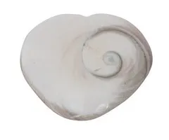 Gelukshart Eye of Shiva