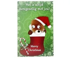 Kaartje beregezellig kerst