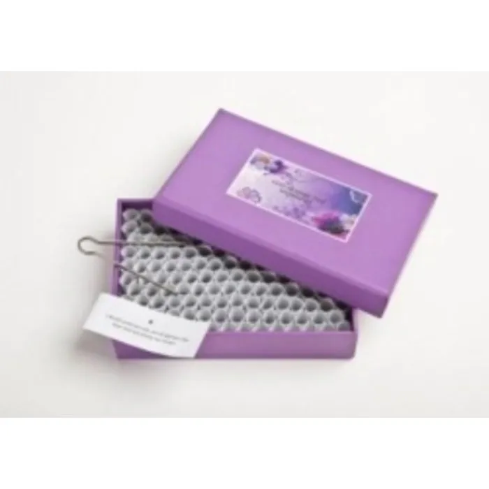 Een doosje vol wijsheid kleur