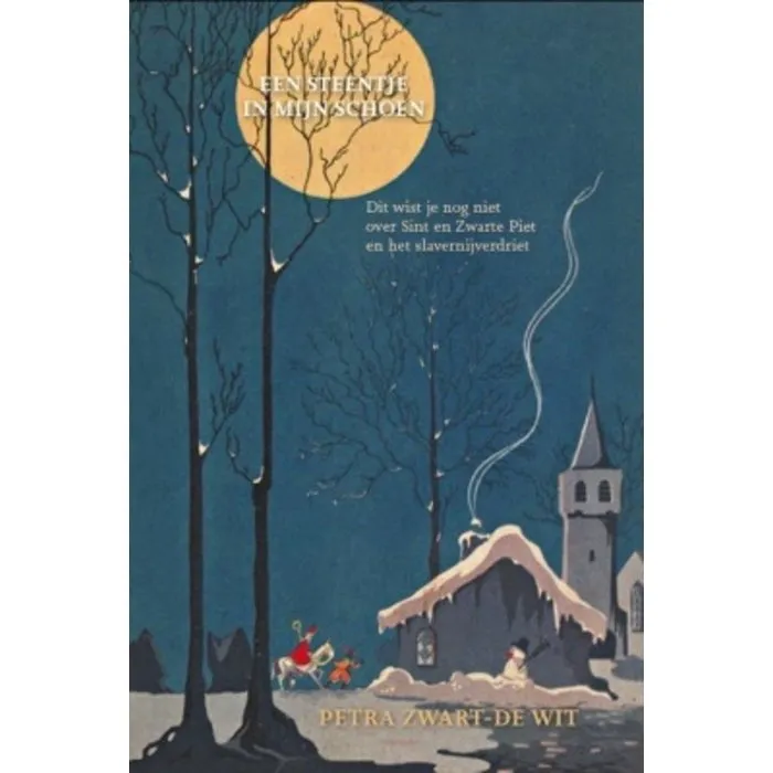 Een steentje in mijn schoen