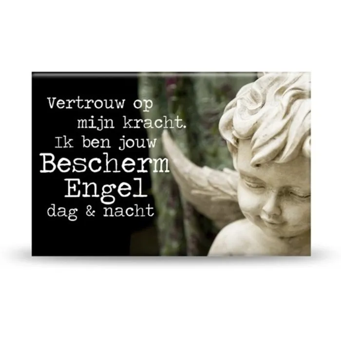 Beschermengel magneet