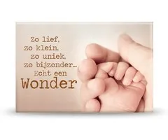 Magneet een wonder