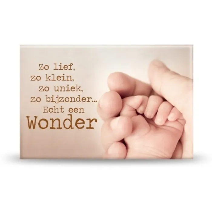 Magneet een wonder
