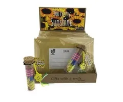 You’re my Sunshine – Zonnebloem POST