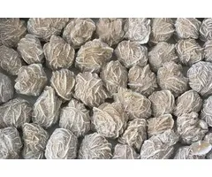 Woestijnroos Mexico 100 gram