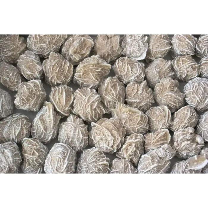 Woestijnroos Mexico 100 gram