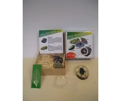 Geobox junior onderzoeker