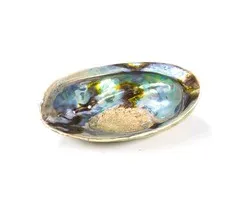 Abalone schelp XL 160 tot 180 mm