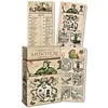 Tarocchino montieri tarot