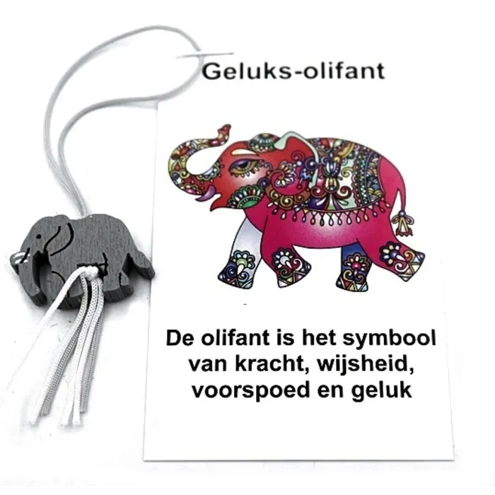 Geluksolifantje op kaartje