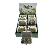 6  Zaadbommetjes in eierdoosje