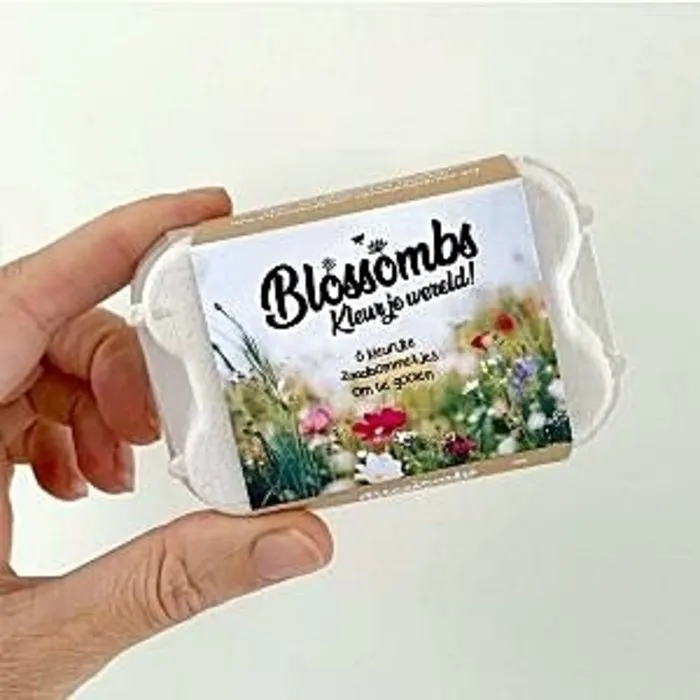 6  Zaadbommetjes in eierdoosje