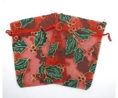 Organza zakje rood hulst en besjes groot