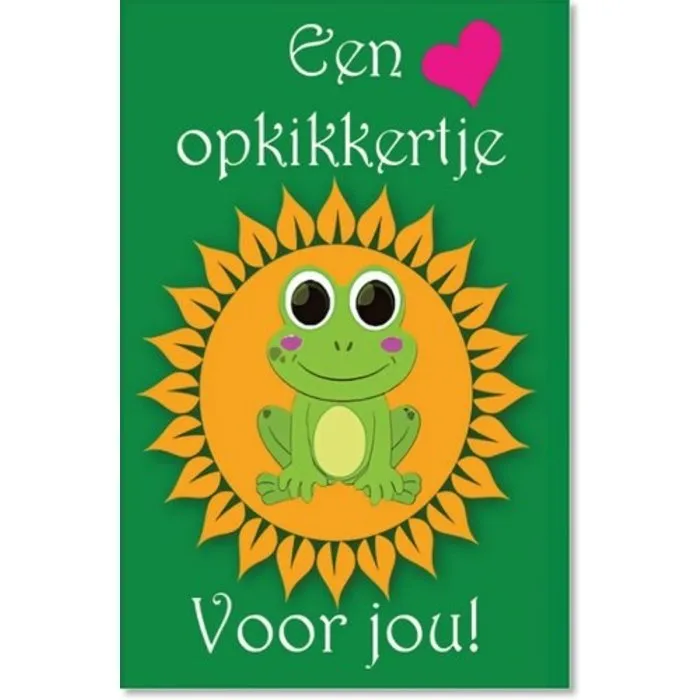 Pluche sleutelhanger kikker met kaartje