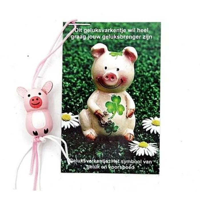 Geluksvarkentje op kaartje