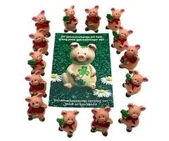 Geluksvarkentje met kaartje