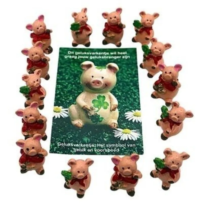 Geluksvarkentje met kaartje