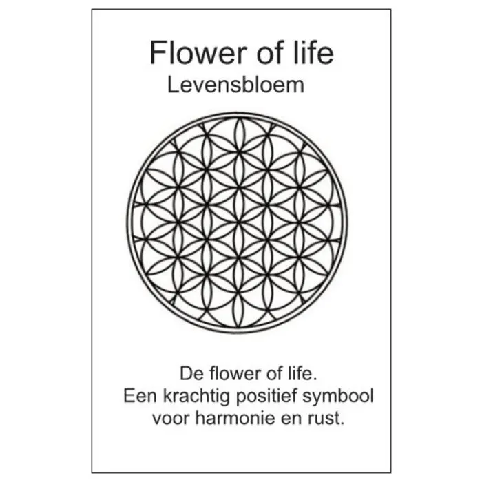 Munt levensbloem met kaartje