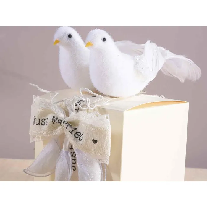 Witte duiven en clip 1 paar