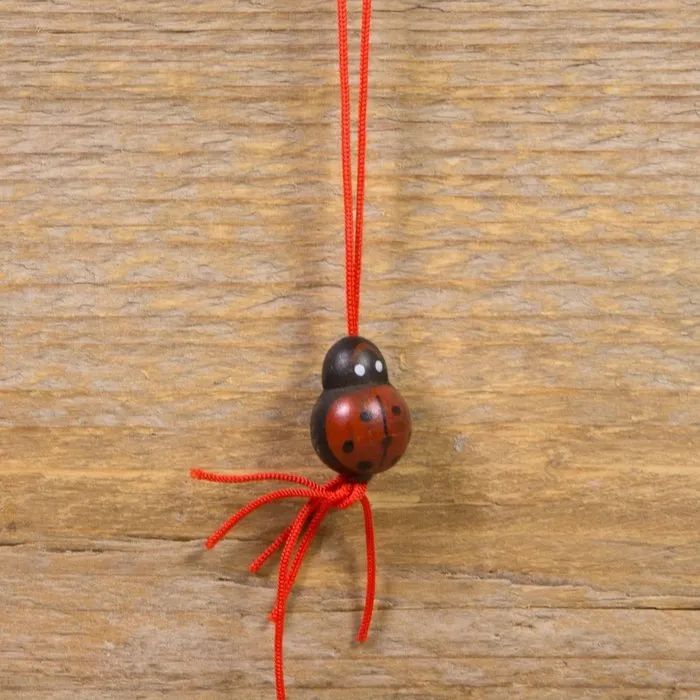 Geluks lieveheersbeestje 10 stuks