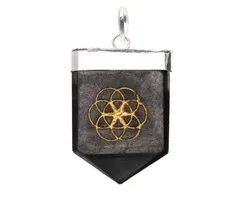 Shungiet hanger Levenszaad