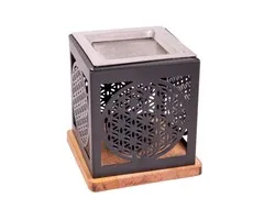 Wierookbrander  levensbloem