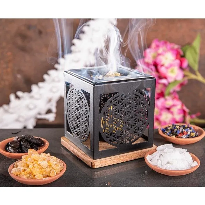 Wierookbrander  levensbloem