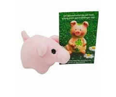 Geluksvarken pluche met kaartje