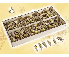 10 Wasknijpertjes met bij