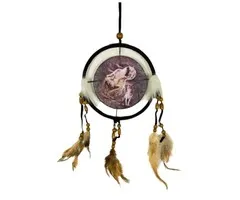 Dromenvanger wolf