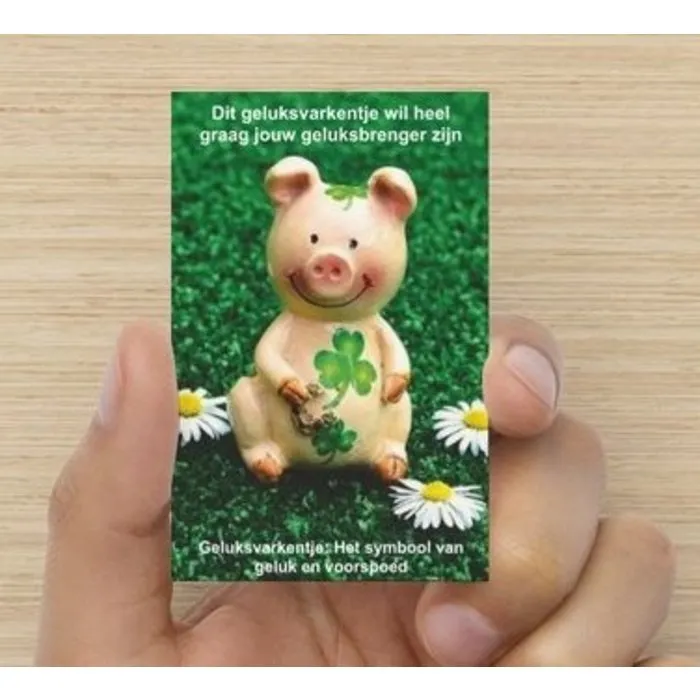 Geluksvarkentje in tasje met kaartje