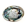 Abalone schelp groot - 120 tot 140 mm