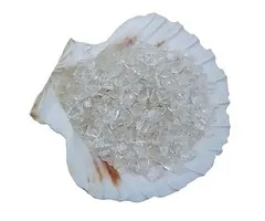 Sint Jacobsschelp met bergkristal steentjes