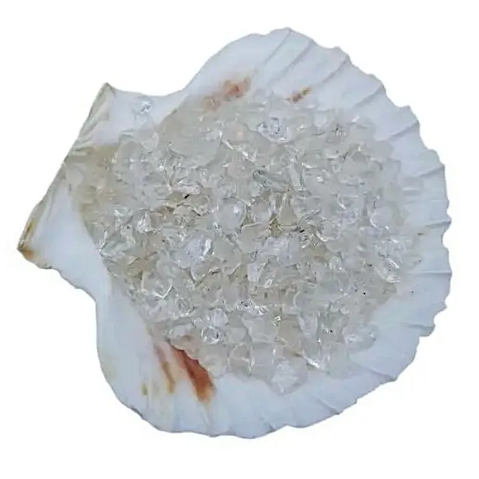 Sint Jacobsschelp met bergkristal steentjes