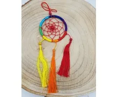 Regenboog chakra dromenvanger 6,5 cm met kaartje