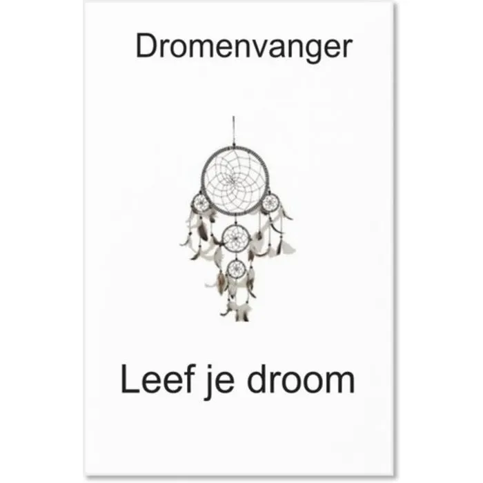 Regenboog chakra dromenvanger 6,5 cm met kaartje