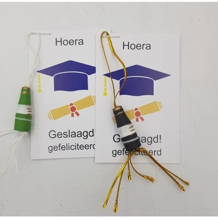 Hoera geslaagd met fles champagne