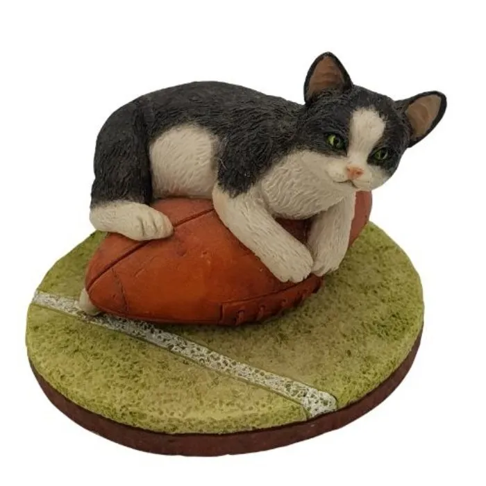 Kat op rugby bal