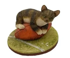 Kat gestreept op rugby bal