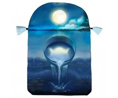 Tarotbuidel Silver Witchcraft