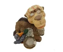 Dromedaris krijgt een wasbeurt