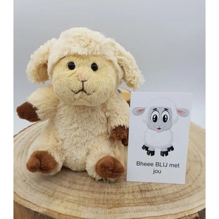 Schattig schaapje met kaartje