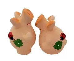 Geluksvarkentjes Set Van 2