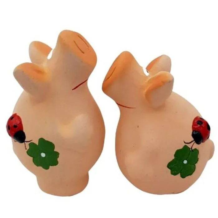 Geluksvarkentjes Set Van 2